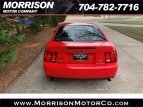 Thumbnail Photo 98 for 2003 Ford Mustang Cobra Coupe
